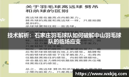 技术解析：石家庄羽毛球队如何破解中山羽毛球队的临场应变